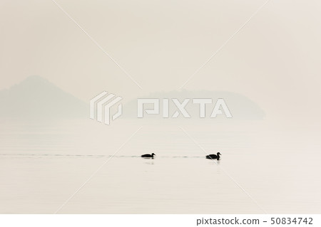 Japan / Hokkaido Toyako, winter scenery Japan / Hokkaido Toyako, winter scenery 50834742