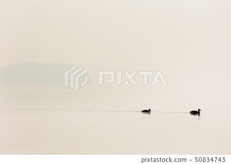 Japan / Hokkaido Toyako, winter scenery Japan / Hokkaido Toyako, winter scenery 50834743