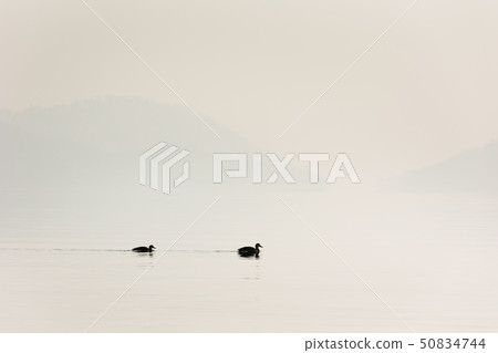 日本/北海道洞爺湖,冬天的景色 日本/北海道洞爺湖,冬天的景色 50834744