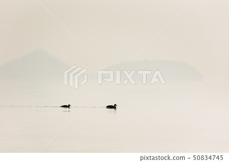 日本/北海道洞爺湖,冬天的景色 日本/北海道洞爺湖,冬天的景色 50834745