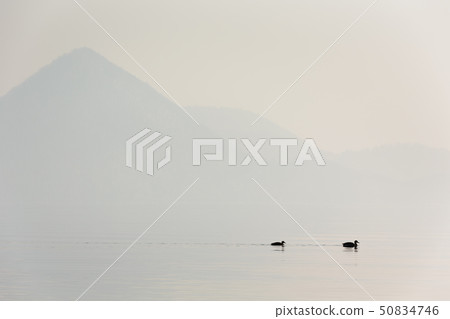 日本/北海道洞爺湖，冬天的景色 50834746