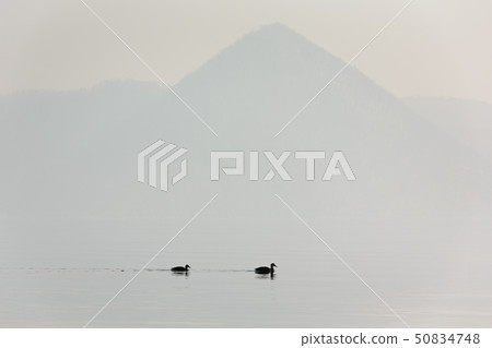 日本/北海道洞爺湖,冬天的景色 日本/北海道洞爺湖,冬天的景色 50834748