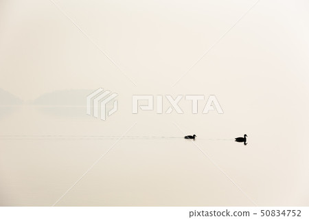 Japan / Hokkaido Toyako, winter scenery Japan / Hokkaido Toyako, winter scenery 50834752