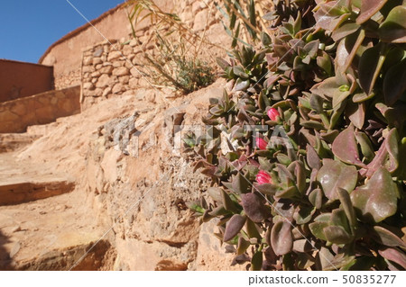 Morocco Ait Ben Haddou Kasbah Ait Ben Haddou 50835277