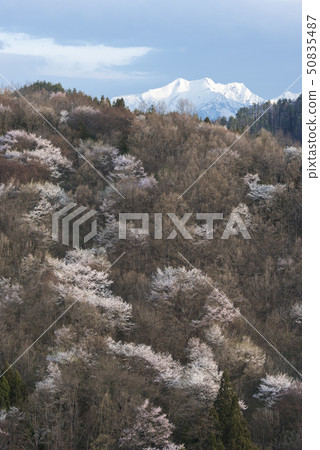 信州土地鎮春天 信州土地鎮春天 50835487