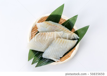 Crow squirrel 50835650