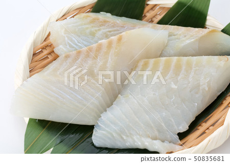 Crow squirrel Crow squirrel 50835681