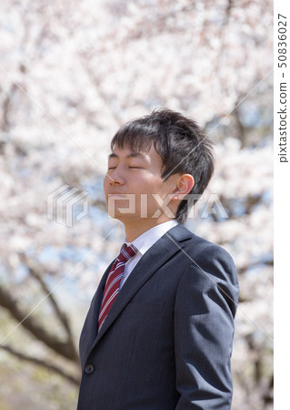 Sakura back portrait Sakura back portrait 50836027