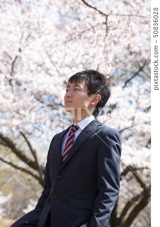 Sakura back portrait 50836028