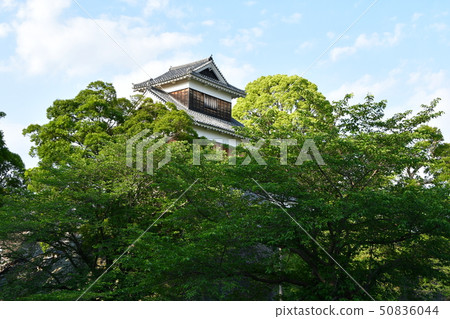 熊本縣熊本縣早春地震恢復工作2019年 熊本縣熊本縣早春地震恢復工作2019年 50836044