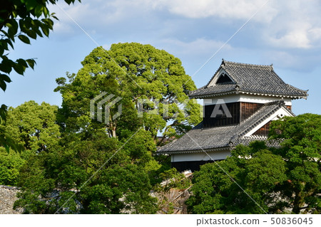Early spring of Kumamoto Castle Kumamoto earthquake restoration work 2019 50836045