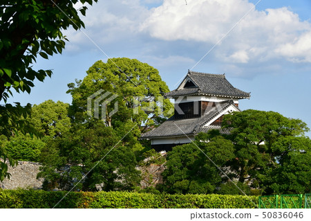 Early spring of Kumamoto Castle Kumamoto earthquake restoration work 2019 50836046