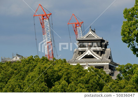 Early spring of Kumamoto Castle Kumamoto earthquake restoration work 2019 50836047