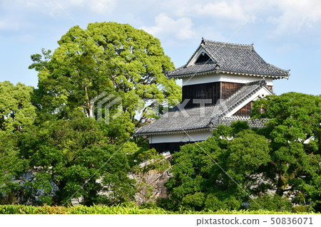 熊本縣熊本縣早春地震恢復工作2019年 50836071