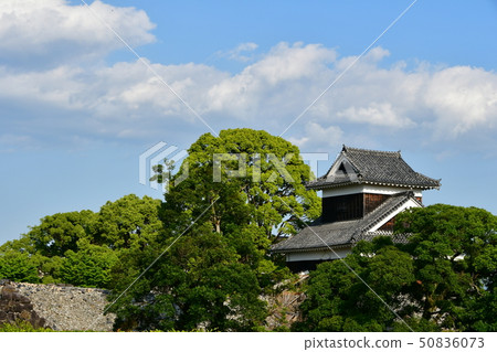 熊本縣熊本縣早春地震恢復工作2019年 熊本縣熊本縣早春地震恢復工作2019年 50836073