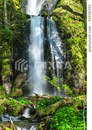 Oirase Unoi在春天落下 50836202