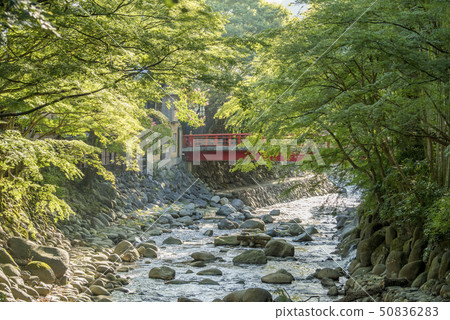 Shuzenji Onsen Katsura River and Katsura Bridge 50836283