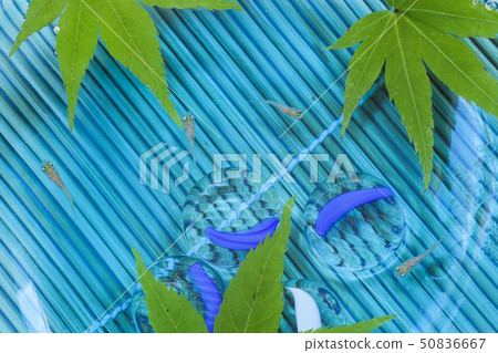 一個夏日風景與一個涼爽的微風和清爽的感覺表面上的青蒿 一個夏日風景與一個涼爽的微風和清爽的感覺表面上的青蒿 50836667