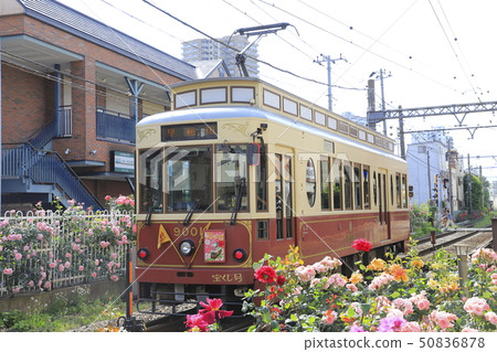 Rose of Toden Arakawa Line Minowabashi Station 50836878