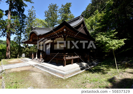 Hongikawaji主殿 50837329