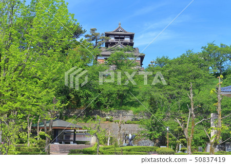 [Fukui Prefecture] Fresh green Maruoka Castle under sunny weather 50837419
