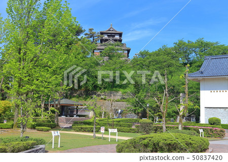 [Fukui Prefecture] Fresh green Maruoka Castle under sunny weather 50837420