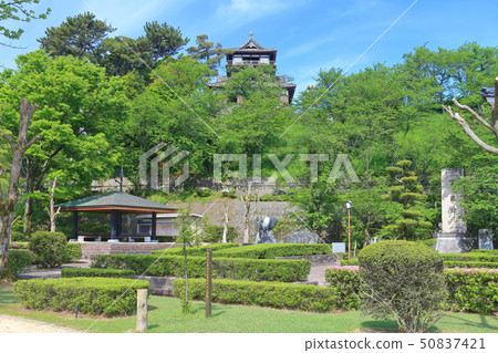 [Fukui Prefecture] Fresh green Maruoka Castle under sunny weather 50837421