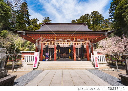 Shihahiko Shrine Shiogama Shrine Shihahiko Shrine Haiden Shihahiko Shrine Shiogama Shrine Shihahiko Shrine Haiden 50837441