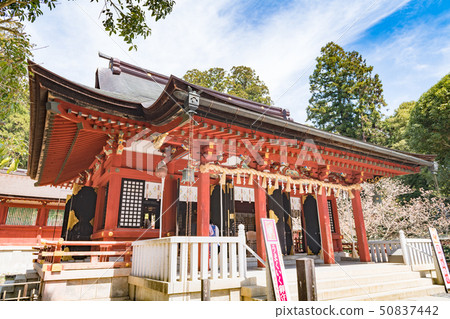 Shihahiko Shrine Shiogama Shrine Shihahiko Shrine Haiden 50837442
