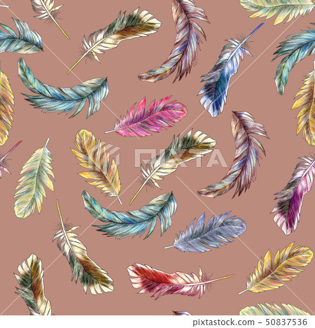 Seamless pattern of colored feathers painted in watercolor Seamless pattern of colored feathers painted in watercolor 50837536