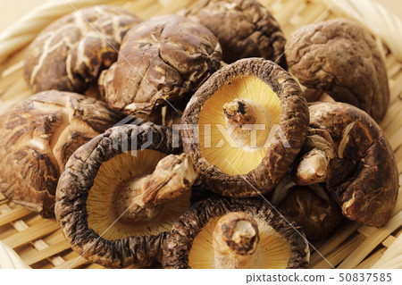 Dried shiitake mushrooms  50837585