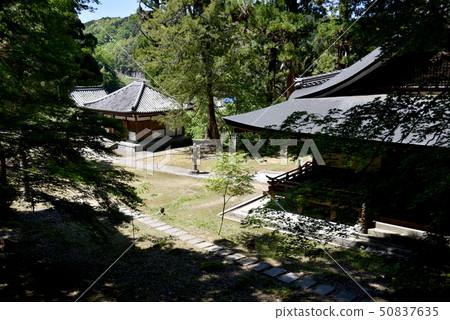 Hirokawaji temple grounds Hirokawaji temple grounds 50837635