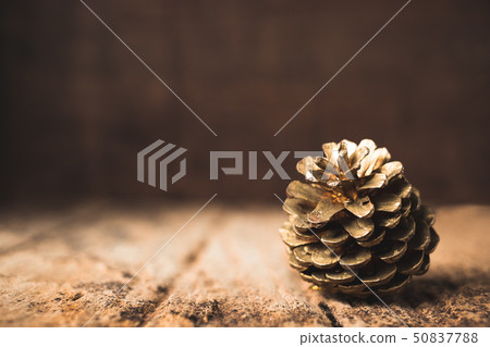 gold pine cone on grunge wood table and dark brown 50837788