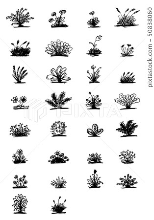30 sketch of plants for your design 30 sketch of plants for your design 50838060