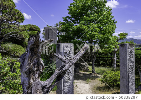 岡山縣Sosha市,出生地 岡山縣Sosha市,出生地 50838297