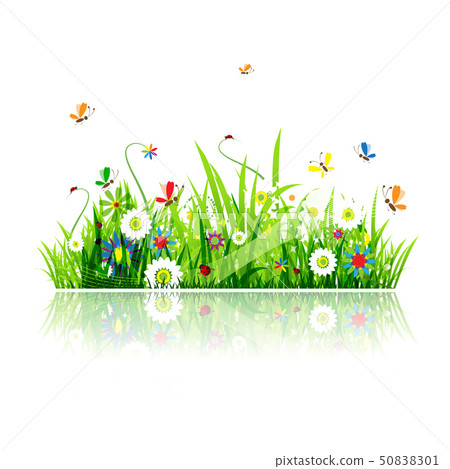 Summer green meadow for your design 50838301