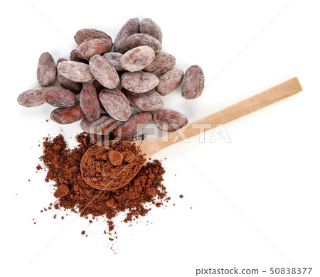 cocoa powder and beans isolated on white 50838377