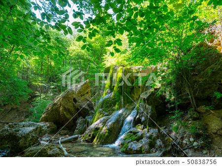 Waterfall in the forest 50838756