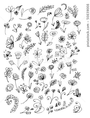 Sketch of floral elements for your design  50839008