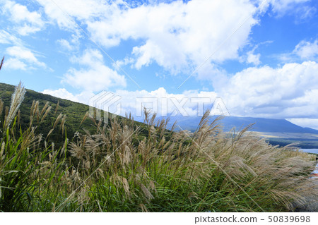 全景台（秋季） 50839698