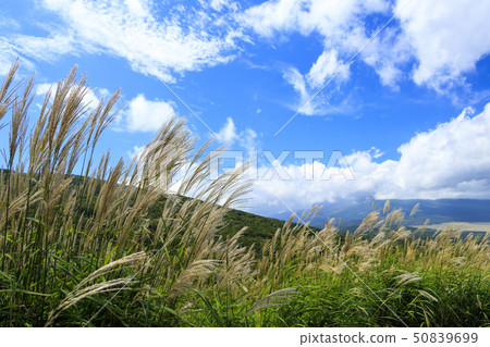 全景台(秋季) 全景台(秋季) 50839699