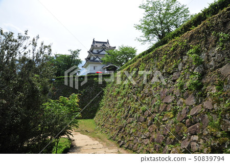 Uwajima Castle 2019 1 Uwajima Castle 2019 1 50839794