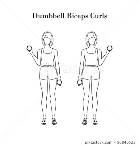 Dumbbell biceps curls exercise outline 50840522
