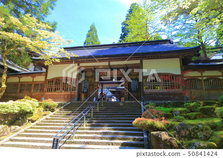 [福井縣]新鮮的綠色永平寺入口大門 50841424