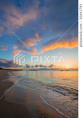 娜塔莎海岸的黎明 50841793