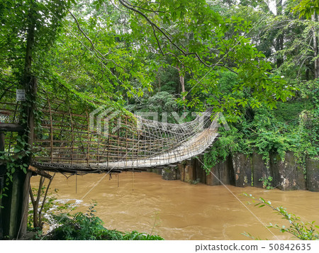 Bridge over Tat Pha Ngam Waterfall, Pakse, Laos 50842635