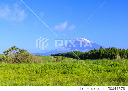 富士山(初夏) 富士山(初夏) 50843878