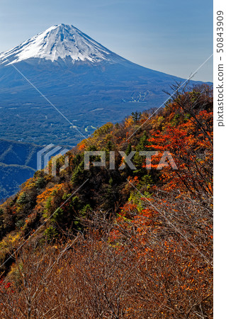 從Misaka山區和Onigatake看到的富士山和秋葉 從Misaka山區和Onigatake看到的富士山和秋葉 50843909