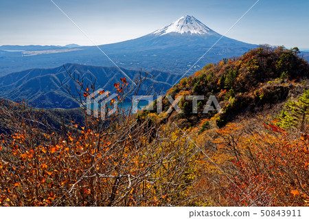 Mt. Fuji and autumn leaves seen from Misaka mountain area and Onigatake 50843911
