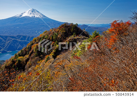 從Misaka山區和Onigatake看到的富士山和秋葉 50843914